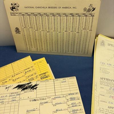 National Chinchilla Lot