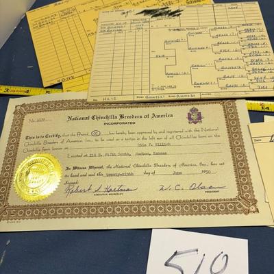 National Chinchilla Lot