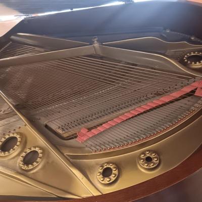 BEAUTIFUL SMITH & NIXON ANTIQUE GRAND PIANO IN EXCELLENT CONDITION (READ DESCRIPTION)