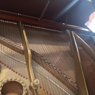 BEAUTIFUL SMITH & NIXON ANTIQUE GRAND PIANO IN EXCELLENT CONDITION (READ DESCRIPTION)