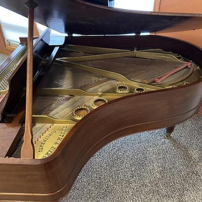 BEAUTIFUL SMITH & NIXON ANTIQUE GRAND PIANO IN EXCELLENT CONDITION (READ DESCRIPTION)