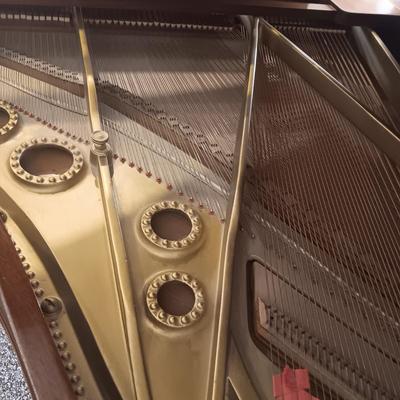 BEAUTIFUL SMITH & NIXON ANTIQUE GRAND PIANO IN EXCELLENT CONDITION (READ DESCRIPTION)