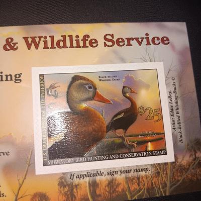 2005-2006 & 2020 -2021 US FISH & WILDLIFE MIGRATORY BIRD HUNTING AND CONSERVATION STAMPS