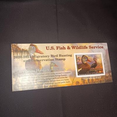 2005-2006 & 2020 -2021 US FISH & WILDLIFE MIGRATORY BIRD HUNTING AND CONSERVATION STAMPS