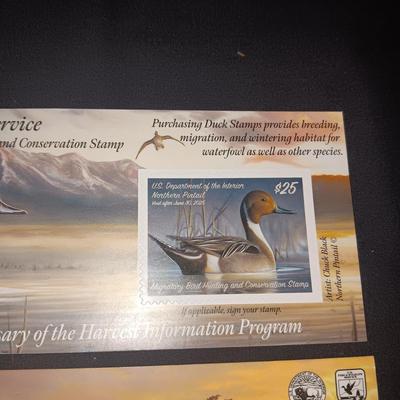 2024-2025 & 2014-2015 US FISH & WILDLIFE MIGRATORY BIRD HUNTING AND CONSERVATION STAMPS