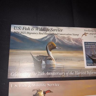 2024-2025 & 2014-2015 US FISH & WILDLIFE MIGRATORY BIRD HUNTING AND CONSERVATION STAMPS