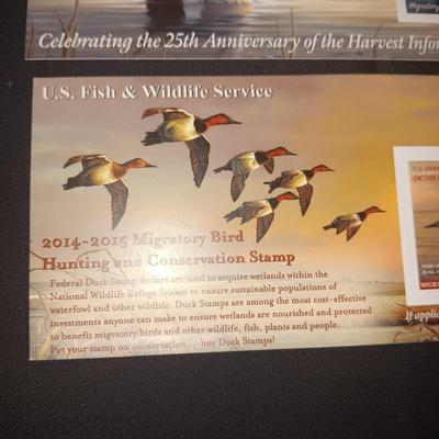 2024-2025 & 2014-2015 US FISH & WILDLIFE MIGRATORY BIRD HUNTING AND CONSERVATION STAMPS