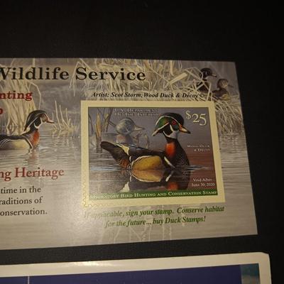 2019-2020 & 2004-2005 US FISH & WILDLIFE MIGRATORY BIRD HUNTING AND CONSERVATION STAMPS