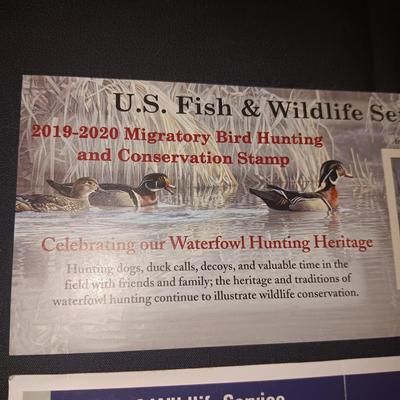 2019-2020 & 2004-2005 US FISH & WILDLIFE MIGRATORY BIRD HUNTING AND CONSERVATION STAMPS