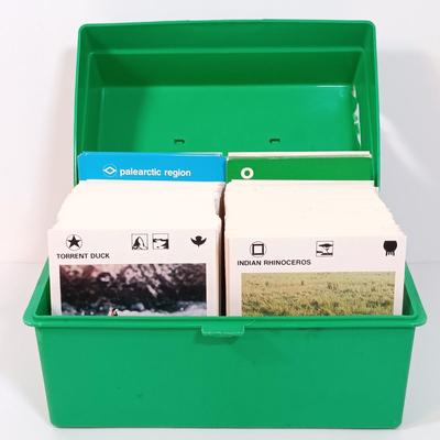 Sale Photo Thumbnail #133