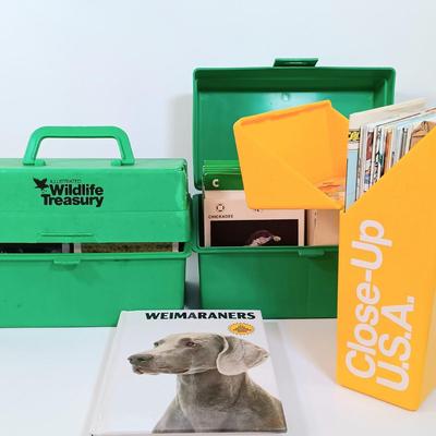 Sale Photo Thumbnail #126