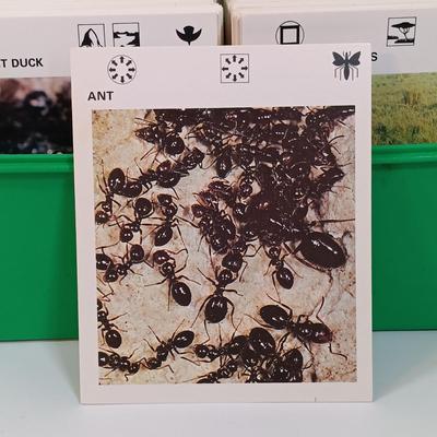 Sale Photo Thumbnail #134