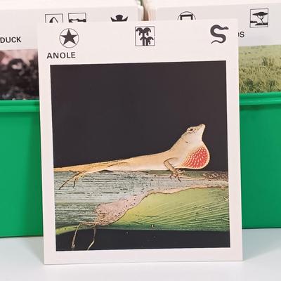 Sale Photo Thumbnail #136