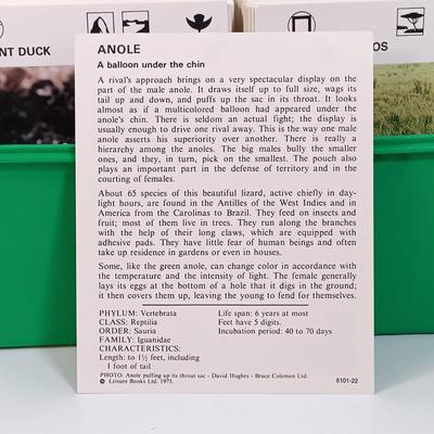 Sale Photo Thumbnail #137