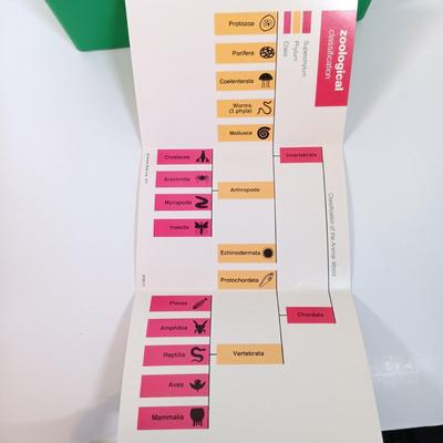 Sale Photo Thumbnail #139