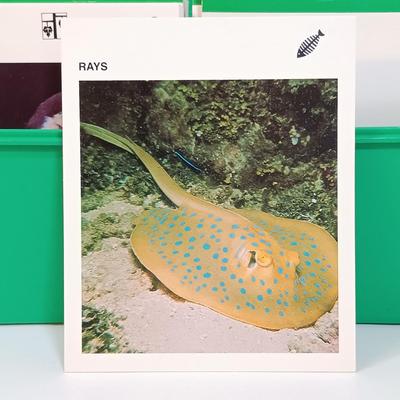 Sale Photo Thumbnail #128