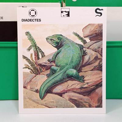 Sale Photo Thumbnail #130