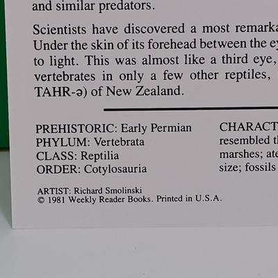 Sale Photo Thumbnail #131