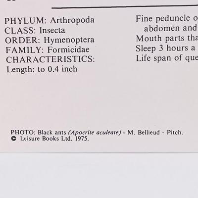 Sale Photo Thumbnail #135