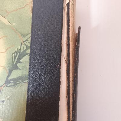 Sale Photo Thumbnail #249