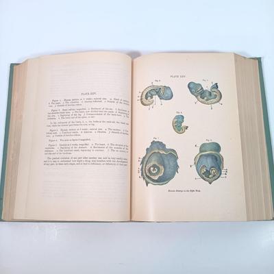 Sale Photo Thumbnail #255