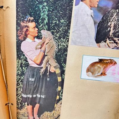 Sale Photo Thumbnail #455: Spiral and other bound notebooks. Africa Giraffe playing cards and score pads. fine paper, postcards autograph book from 1900. "may your memories shire as bright as Edison's light."