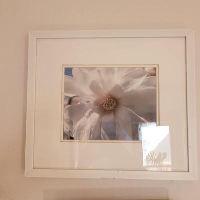 Sale Photo Thumbnail #402: White one has a scratch on the bottom of the frame