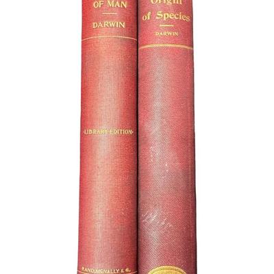 Sale Photo Thumbnail #269: Both of these texts are from the late 1900s. “Origin of a Species” is the University Edition, and “Descent of Man” is a Second Edition. Both books have age related wear. The bindings on both are intact. There is some discoloration and pencil writi