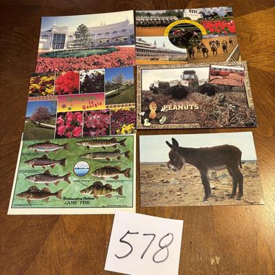 New Postcard Lot