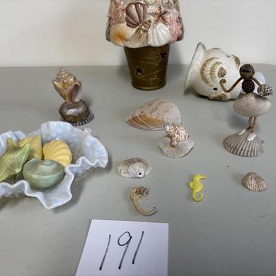 Sea Shell Lot