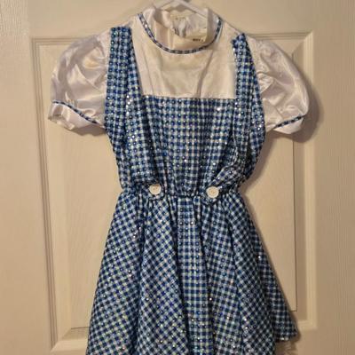 LOT 23: Child Size Dorothy Dress and 2 Disney Store Doc McStuffins Costumes