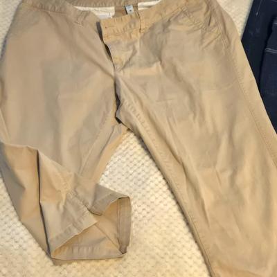 LOT 30: Women's Plus Size Cargo Shorts, Capris, and 3 Pairs of Jean Shorts