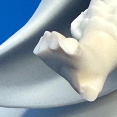 Sale Photo Thumbnail #35: Lladro Cinderella porcelain figure, matte finish, sculpted by Alfredo Ruiz
Broken fingers on the right hand 
Retired
9.7 inches tall