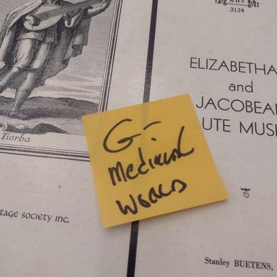 Assortment of Vinyl Albums Ethnic, Cultural, Medieval World Music Other Choice G