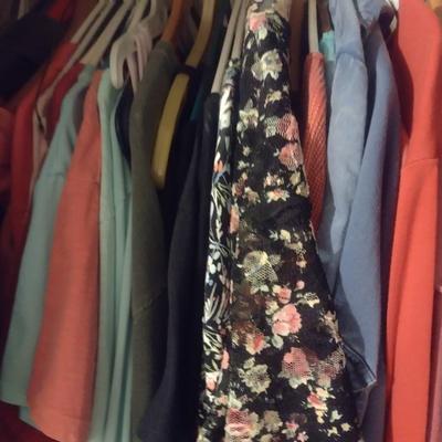 Closet Full of Woman's Clothing Blouses, Shirts, Pants, Eddie Bauer, Coldwater Creek, L.L. Bean, Other Mostly 2 and 3X Choice B