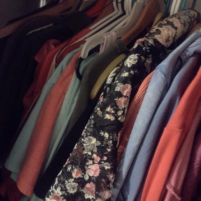 Closet Full of Woman's Clothing Blouses, Shirts, Pants, Eddie Bauer, Coldwater Creek, L.L. Bean, Other Mostly 2 and 3X Choice B