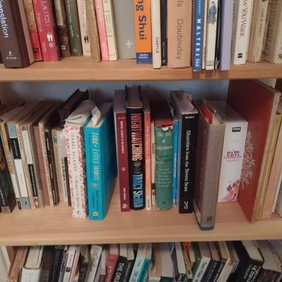 Large Collection of Books Various Authors Fiction, Non-Fiction, Self-Help, Fantasy (Books Only) Choice C