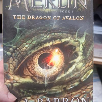 three paperback books from the Merlin Saga by T. A. Barron. 