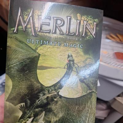 three paperback books from the Merlin Saga by T. A. Barron. 