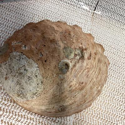 Sale Photo Thumbnail #57