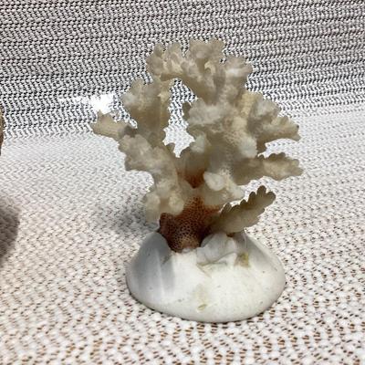 Sale Photo Thumbnail #61