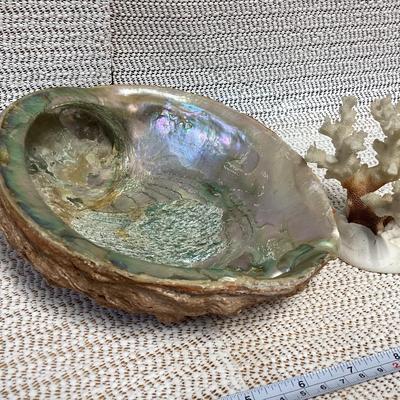 Sale Photo Thumbnail #53