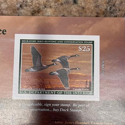 2005-2006 & 2017-2018 US FISH & WILDLIFE MIGRATORY BIRD HUNTING AND CONSERVATION STAMPS