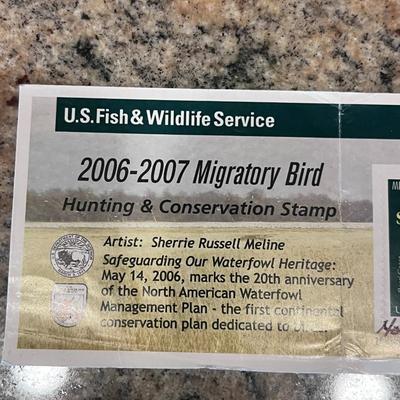 2006-2007 & 2018-2019 US FISH & WILDLIFE MIGRATORY BIRD HUNTING AND CONSERVATION STAMPS