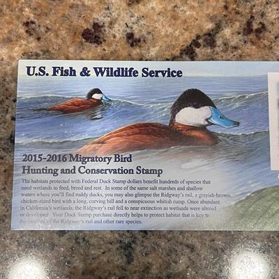 2011-2012 & 2015-2016 US FISH & WILDLIFE MIGRATORY BIRD HUNTING AND CONSERVATION STAMPS
