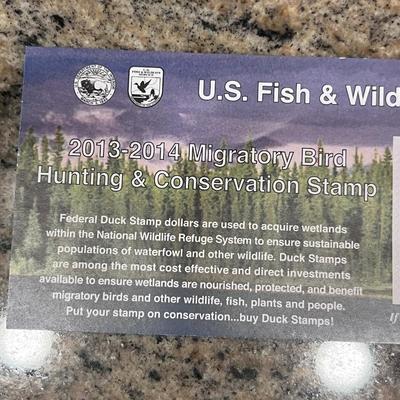 2013-2014 & 2016-2017 US FISH & WILDLIFE MIGRATORY BIRD HUNTING AND CONSERVATION STAMPS