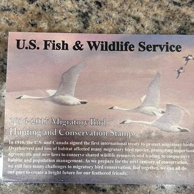 2013-2014 & 2016-2017 US FISH & WILDLIFE MIGRATORY BIRD HUNTING AND CONSERVATION STAMPS