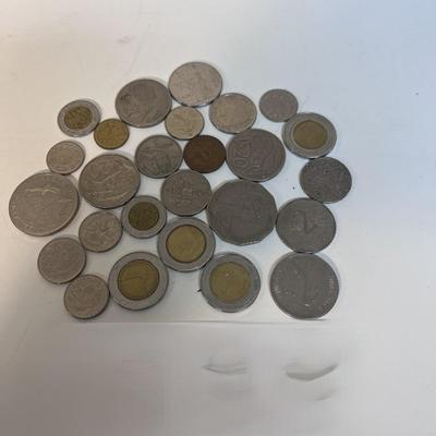 A VARIETY OF FOREIGN COINS
