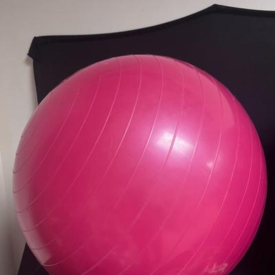2 EXERCISE BALLS AND A JUMP ROPE