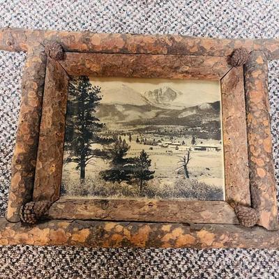 PINE TREE LIMB FRAME WITH OLD PHOTO AND A SW THEMED WALL ART